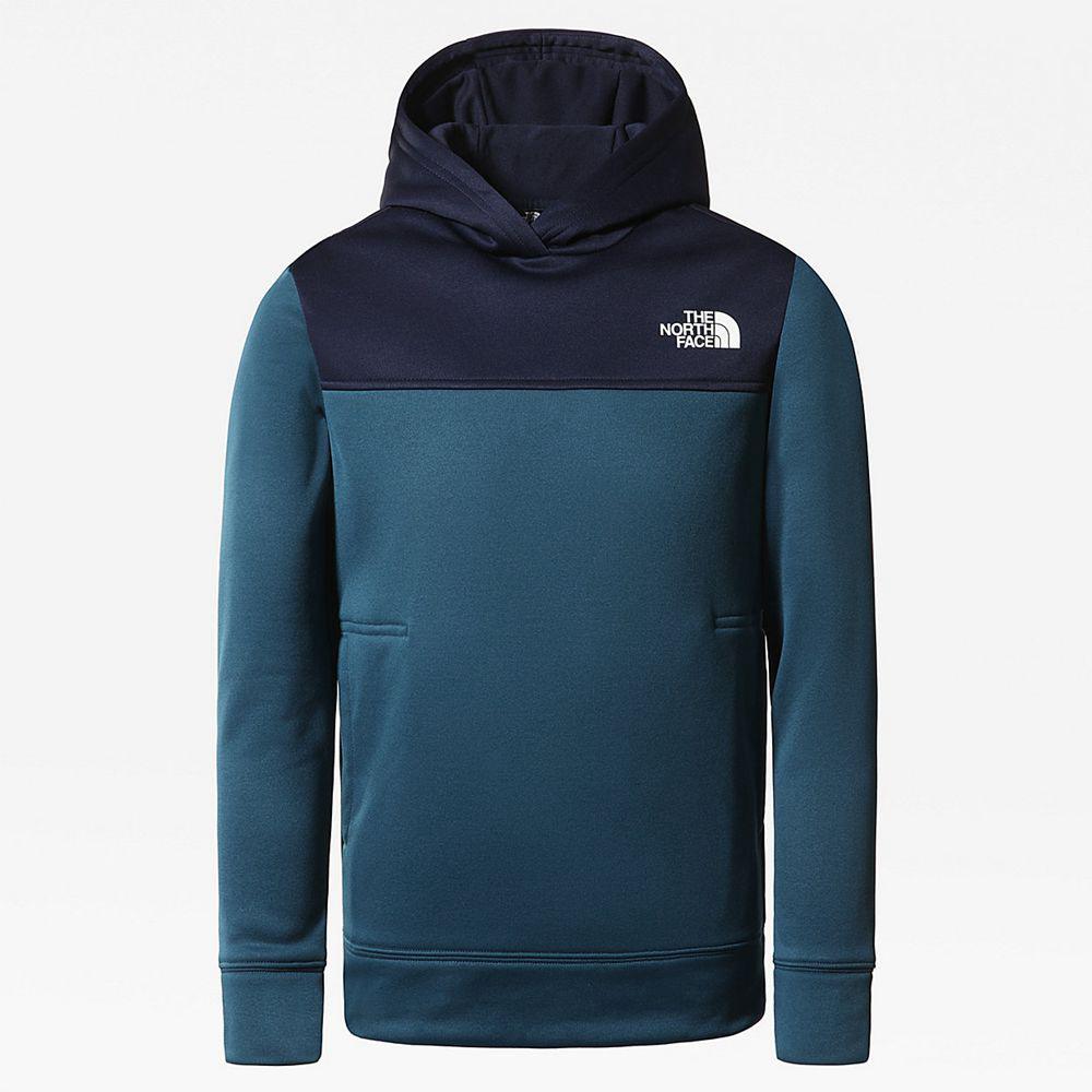 The North Face Surgent Αγόρια Φούτερ Hoodie - Σκουρο Μπλε (QRLU84130)